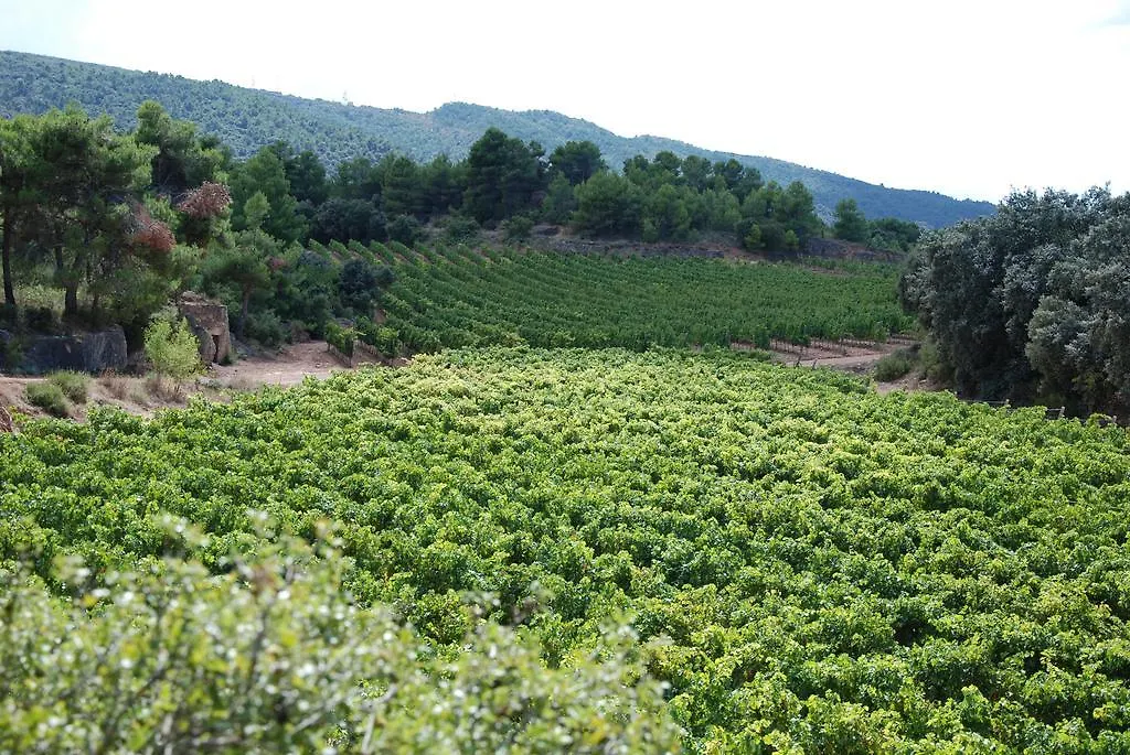 Country house Vilosell Wine Hotel El Vilosell
